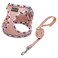 Mercano Soft Mesh Dog Harness and Leash Set Stepin Reflective Breathable Lightweight Vest Harnesses with Safety Buckle for Small Dogs Cats Champagne S