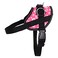 Bark Appeal Pink Hibiscus NoPull Dog Harness for Medium to Large Sized Pets Adjustable Reflective Vest with 3 Leash Clips for Added Control Easy Walks Training Large