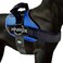 Joyride Harness 20 The Original Side Ring No Pull Dog Harness No Choke Escape Proof Reflective 3 Leash Clips Quick Fit Pet Vest Easy Walks Training for Small Medium Large Dogs