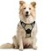 rabbitgoo Dog Harness No Pull with 2 Leash Clips Adjustable Soft Padded Reflective Oxford No Choke Pet Vest with Easy Control Handle for Medium Sized Dogs Beige M
