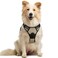 rabbitgoo Dog Harness No Pull with 2 Leash Clips Adjustable Soft Padded Reflective Oxford No Choke Pet Vest with Easy Control Handle for Medium Sized Dogs Beige M
