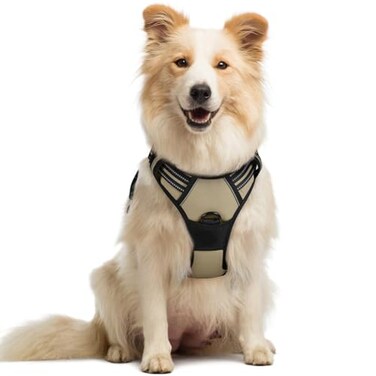 rabbitgoo Dog Harness No Pull with 2 Leash Clips Adjustable Soft Padded Reflective Oxford No Choke Pet Vest with Easy Control Handle for Medium Sized Dogs Beige M