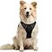 rabbitgoo Dog Harness No Pull with 2 Leash Clips Adjustable Soft Padded Reflective Oxford No Choke Pet Vest with Easy Control Handle for Medium Sized Dogs Black M