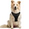 rabbitgoo Dog Harness No Pull with 2 Leash Clips Adjustable Soft Padded Reflective Oxford No Choke Pet Vest with Easy Control Handle for Medium Sized Dogs Black M