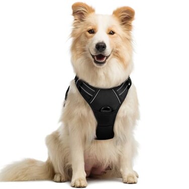 rabbitgoo Dog Harness No Pull with 2 Leash Clips Adjustable Soft Padded Reflective Oxford No Choke Pet Vest with Easy Control Handle for Medium Sized Dogs Black M