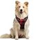 rabbitgoo Dog Harness No Pull with 2 Leash Clips Adjustable Soft Padded Reflective Oxford No Choke Pet Vest with Easy Control Handle for Medium Sized Dogs Red Plaid M