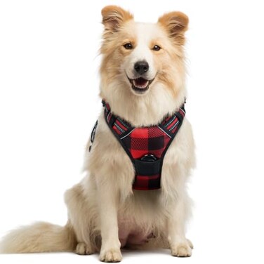 rabbitgoo Dog Harness No Pull with 2 Leash Clips Adjustable Soft Padded Reflective Oxford No Choke Pet Vest with Easy Control Handle for Medium Sized Dogs Red Plaid M