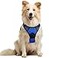 rabbitgoo Dog Harness No Pull with 2 Leash Clips Adjustable Soft Padded Reflective Oxford No Choke Pet Vest with Easy Control Handle for Medium Sized Dogs Dazzling Blue M