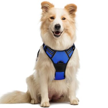 rabbitgoo Dog Harness No Pull with 2 Leash Clips Adjustable Soft Padded Reflective Oxford No Choke Pet Vest with Easy Control Handle for Medium Sized Dogs Dazzling Blue M