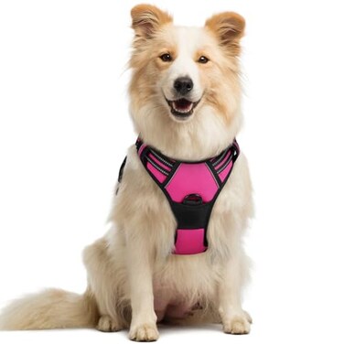 rabbitgoo Dog Harness No Pull with 2 Leash Clips Adjustable Soft Padded Reflective Oxford No Choke Pet Vest with Easy Control Handle for Medium Sized Dogs Hot Pink M
