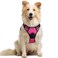 rabbitgoo Dog Harness No Pull with 2 Leash Clips Adjustable Soft Padded Reflective Oxford No Choke Pet Vest with Easy Control Handle for Medium Sized Dogs Hot Pink M