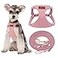 Puppytie No Pull Dog Harness with Multifunction Dog LeashSoft Adjustable No Choke Escape Proof Pet Harness Vest for Medium Dogs or Large DogsPinkM