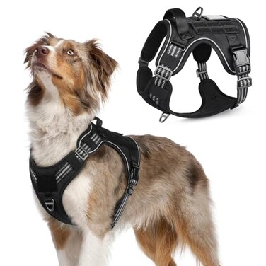 rabbitgoo Tactical Dog Harness Medium Sized Dog No Pull Military Service Vest with Handle Molle Easy Control for Training Walking Adjustable Reflective Straps Black M