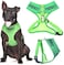 Dexil Friendly Known as Friendly to All Green Colour Coded NonPull Front and Back D Ring Padded and Waterproof Vest Dog Harness Prevents Accidents by Warning Others of Your Dog in Advance M
