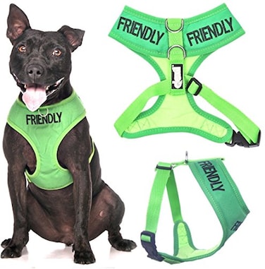 Dexil Friendly Known as Friendly to All Green Colour Coded NonPull Front and Back D Ring Padded and Waterproof Vest Dog Harness Prevents Accidents by Warning Others of Your Dog in Advance M