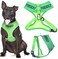 Dexil Friendly Known as Friendly to All Green Colour Coded NonPull Front and Back D Ring Padded and Waterproof Vest Dog Harness Prevents Accidents by Warning Others of Your Dog in Advance M