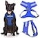 Dexil SERVICE DOG Do Not DisturbDog Is Working Blue Colour Coded NonPull Front and Back D Ring Padded and Waterproof Vest Dog Harness PREVENTS Accidents By Warning Others Of Your Dog In Advance M