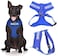 Dexil SERVICE DOG Do Not DisturbDog Is Working Blue Colour Coded NonPull Front and Back D Ring Padded and Waterproof Vest Dog Harness PREVENTS Accidents By Warning Others Of Your Dog In Advance M