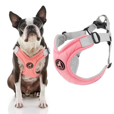 Gooby Memory Foam Step in Harness Pink Medium No Pull Small Dog Harness Patented ChokeFree X Frame Perfect on the Go Dog Harness for Medium Dogs No Pull or Small Dogs