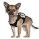SALFSE Tactical Dog Training Harness Outdoor Working Vest Adjustable Military MOLLE Dog Vest Harness with Rubber Handle