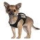 SALFSE Tactical Dog Training Harness Outdoor Working Vest Adjustable Military MOLLE Dog Vest Harness with Rubber Handle