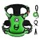 IVYLANE IVYLANE No Pull Dog Harness for Large Dogs Dog Vest Harness with Leash Safety Belt and Storage Strap Fully Adjustable Harness 360 Reflective Strip Soft Handle Green L