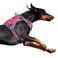 BUMBIN Tactical Dog Harness for Large Dogs No Pull Famous TIK Tok No Pull Puppy Harness Fit Smart Reflective Pet Walking Harness for Training Adjustable Dog Vest Harness with Handle Pink L