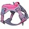 BUMBIN Tactical Dog Harness for Small Dogs No Pull Famous TIK Tok No Pull Puppy Harness Fit Smart Reflective Pet Walking Harness for Training Adjustable Dog Vest Harness with Handle Pink S