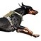 BUMBIN Tactical Dog Harness for Large Dogs No Pull Famous TIK Tok No Pull Dog Harness Fit Smart Reflective Pet Walking Harness for Training Adjustable Dog Vest Harness with Handle Green XL