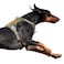 BUMBIN Tactical Dog Harness for Large Dogs No Pull Famous TIK Tok No Pull Dog Harness Fit Smart Reflective Pet Walking Harness for Training Adjustable Dog Vest Harness with Handle Green XL