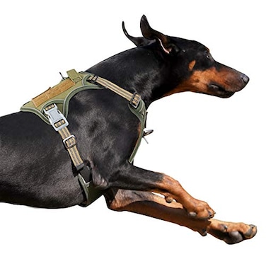 BUMBIN Tactical Dog Harness for Large Dogs No Pull Famous TIK Tok No Pull Dog Harness Fit Smart Reflective Pet Walking Harness for Training Adjustable Dog Vest Harness with Handle Green XL