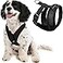 Gooby Comfort X Head In Harness Black Large No Pull Small Dog Harness Patented ChokeFree X Frame Perfect on the Go Dog Harness for Medium Dogs No Pull or Small Dogs for Indoor and Outdoor Use