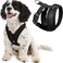 Gooby Comfort X Head In Harness Black Large No Pull Small Dog Harness Patented ChokeFree X Frame Perfect on the Go Dog Harness for Medium Dogs No Pull or Small Dogs for Indoor and Outdoor Use