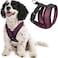 Gooby Comfort X Head in Harness Purple Small No Pull Dog Harness with Patented ChokeFree X Frame for Small to Medium Dogs IndoorOutdoor Use