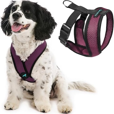 Gooby Comfort X Head in Harness Purple Small No Pull Dog Harness with Patented ChokeFree X Frame for Small to Medium Dogs IndoorOutdoor Use