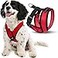 Gooby Comfort X Harness Red Small Chest 1175155