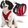Gooby Comfort X Harness Red Small Chest 1175155