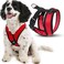Gooby Comfort X Harness Red Small Chest 1175155