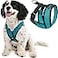 Gooby Comfort X Head in Harness Turquoise XLarge No Pull Small Dog Harness Patented ChokeFree X Frame On The Go Dog Harness for Medium Dogs No Pull Small Dogs for Indoor and Outdoor Use