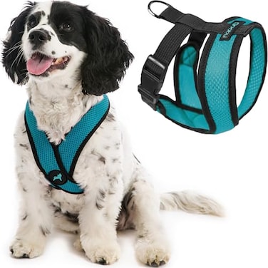 Gooby Comfort X Head in Harness Turquoise XLarge No Pull Small Dog Harness Patented ChokeFree X Frame On The Go Dog Harness for Medium Dogs No Pull Small Dogs for Indoor and Outdoor Use