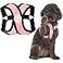 Gooby Comfort X Step in Harness Pink Medium No Pull Small Dog Harness Patented ChokeFree X Frame Perfect on the Go Dog Harness for Medium Dogs No Pull or Small Dogs for Indoor and Outdoor Use