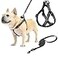 PUPTECK No Pull Dog Harness Soft Adjustable Basic Nylon Step in Puppy Vest Outdoor Walking with Leash