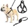 PUPTECK No Pull Dog Harness Soft Adjustable Basic Nylon Step in Puppy Vest Outdoor Walking with Leash