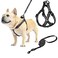 PUPTECK No Pull Dog Harness Soft Adjustable Basic Nylon Step in Puppy Vest Outdoor Walking with Leash