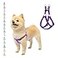 PUPTECK No Pull Dog Harness Soft Adjustable Basic Nylon Step in Puppy Vest Outdoor Walking with ID Tag XSmall
