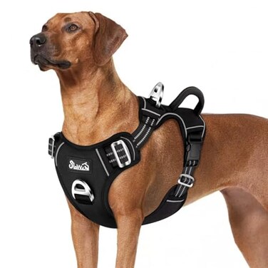 SlowTon No Pull Dog Harness Heavy Duty No Choke Pet Harness with 2 Leash Clips and Easy Control Vertical Handle Adjustable Soft Padded Dog Vest for Small Medium and Large DogsBlackLarge