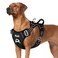 SlowTon No Pull Dog Harness Heavy Duty No Choke Pet Harness with 2 Leash Clips and Easy Control Vertical Handle Adjustable Soft Padded Dog Vest for Small Medium and Large DogsBlackLarge