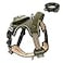 BUMBIN No Pull Dog Harness for Large Dogs Adjustable No Choke Pet Vest with Dog Leash Fit Smart Reflective Pet Walking Harness for Training Easy Control Soft Handle Green XL
