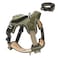BUMBIN No Pull Dog Harness for Large Dogs Adjustable No Choke Pet Vest with Dog Leash Fit Smart Reflective Pet Walking Harness for Training Easy Control Soft Handle Green XL