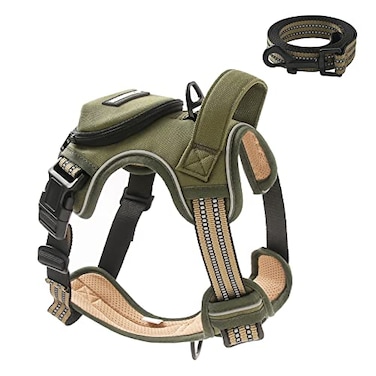 BUMBIN No Pull Dog Harness for Large Dogs Adjustable No Choke Pet Vest with Dog Leash Fit Smart Reflective Pet Walking Harness for Training Easy Control Soft Handle Green XL